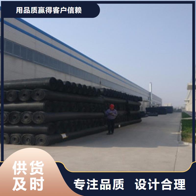 双向塑料格栅-玻纤土工格栅实体厂家大量现货