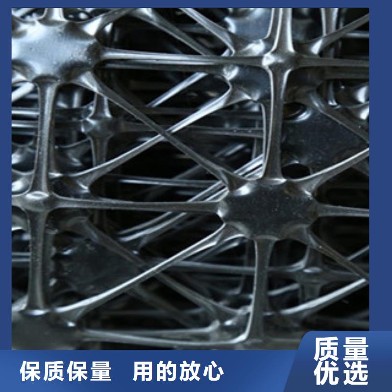双向塑料格栅_【塑料排水板】现货充足量大优惠