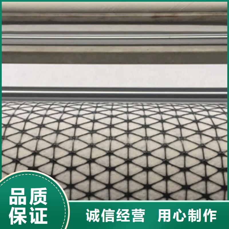 双向塑料格栅_【塑料排水板】现货充足量大优惠