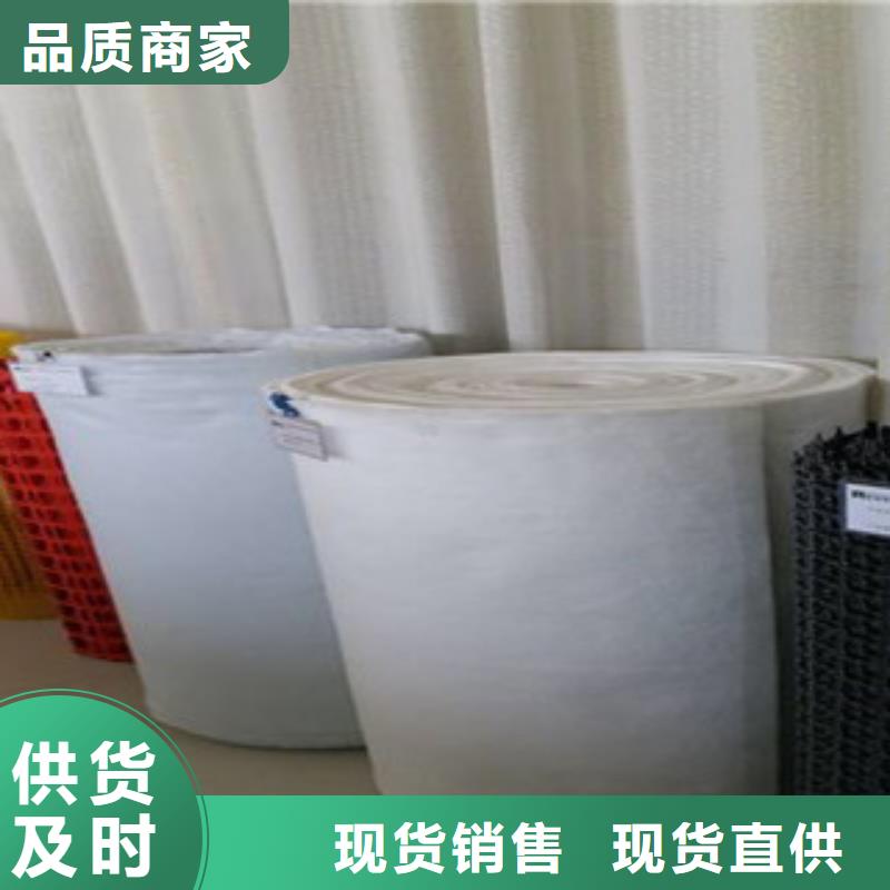 钢塑土工格栅专业生产制造厂