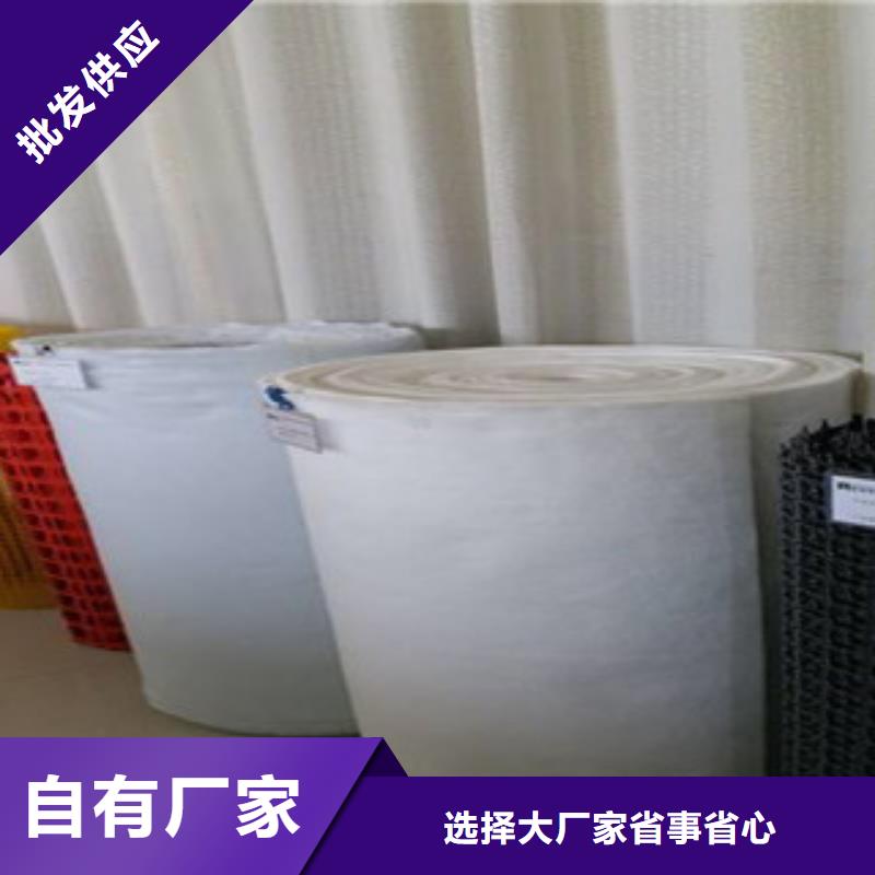 钢塑土工格栅制造厂家