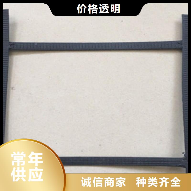 钢塑土工格栅-复合土工布多年实力厂家
