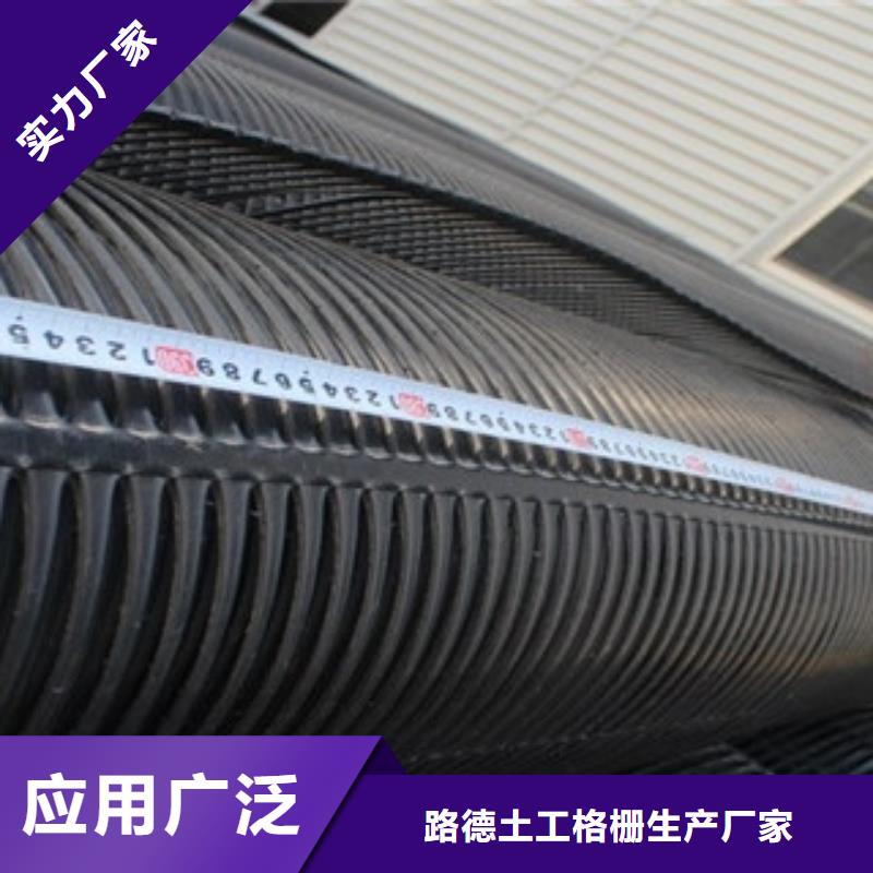 单向塑料格栅_三维植被网厂家经验丰富