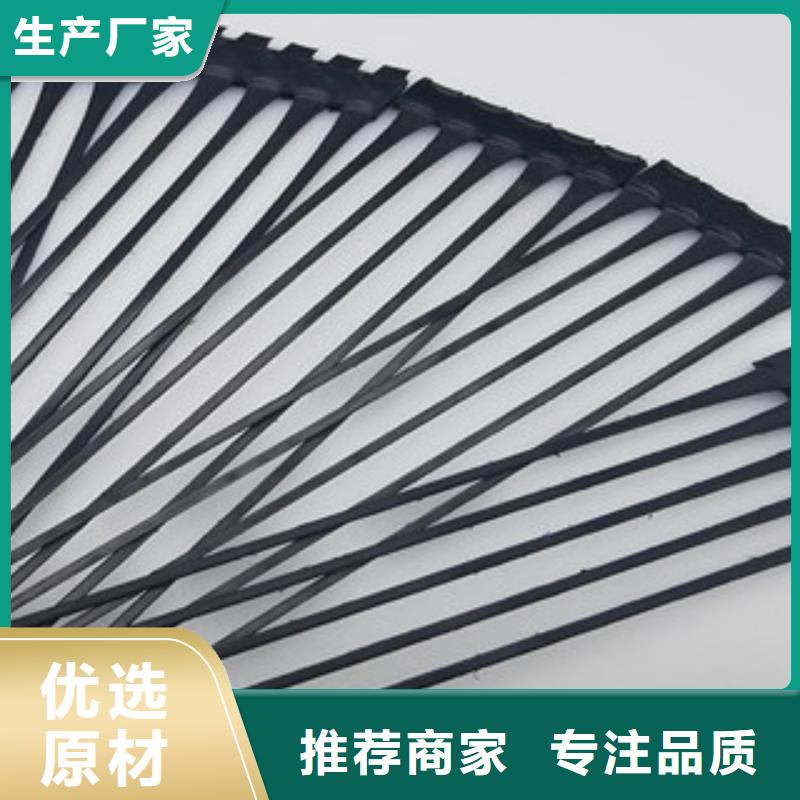 单向塑料格栅_三维植被网厂家经验丰富