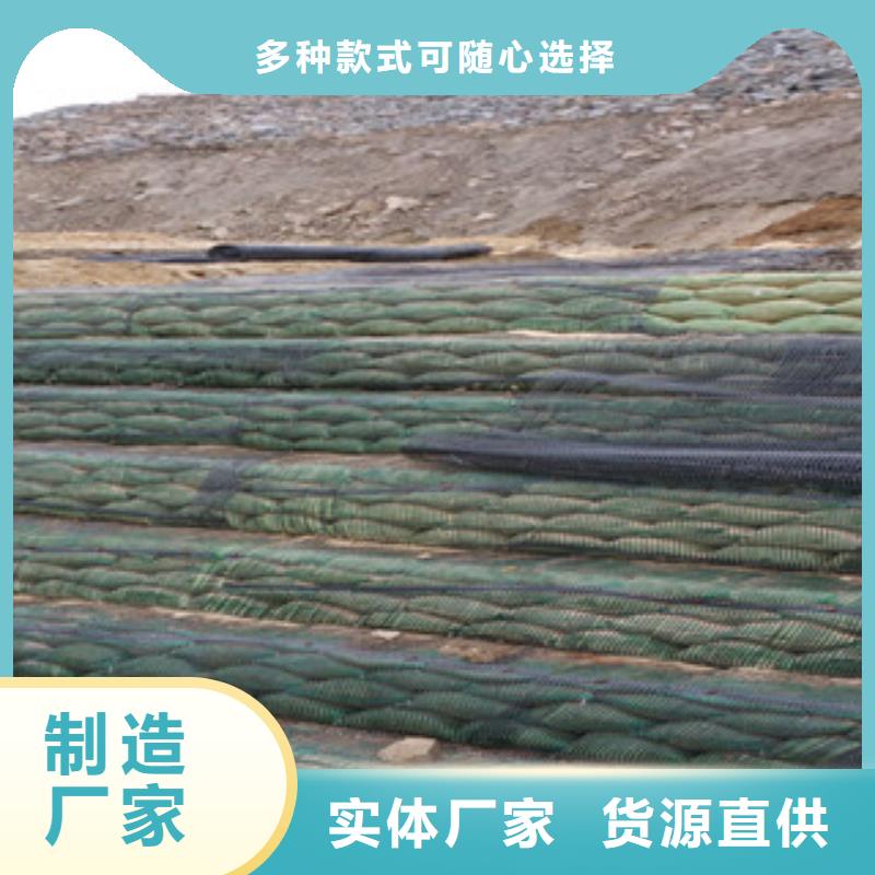 单向塑料格栅塑料土工格栅精工制作