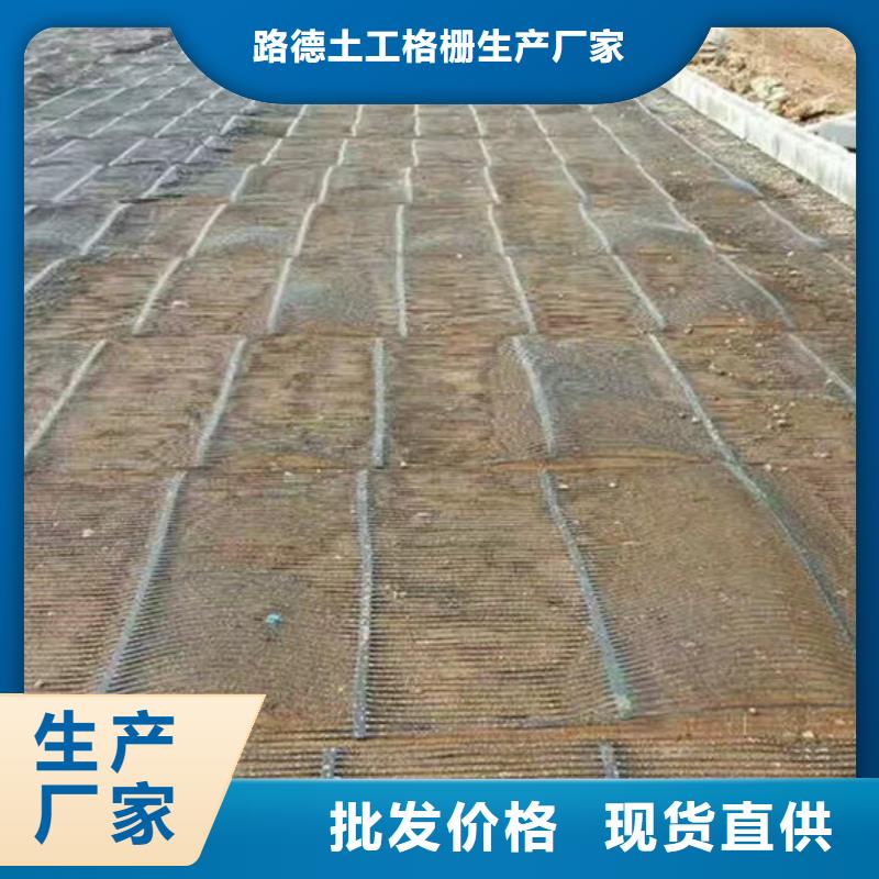 单向塑料格栅_三维植被网厂家经验丰富