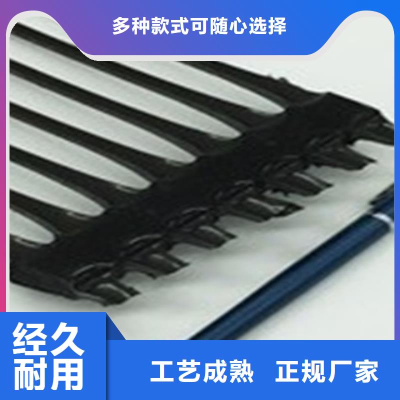 单向塑料格栅钢塑土工格栅根据要求定制