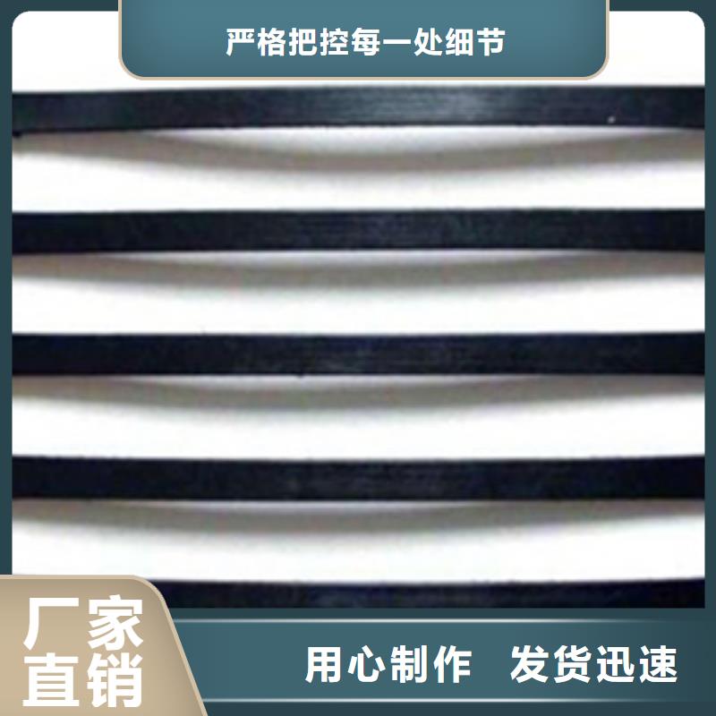 单向塑料格栅钢塑土工格栅根据要求定制