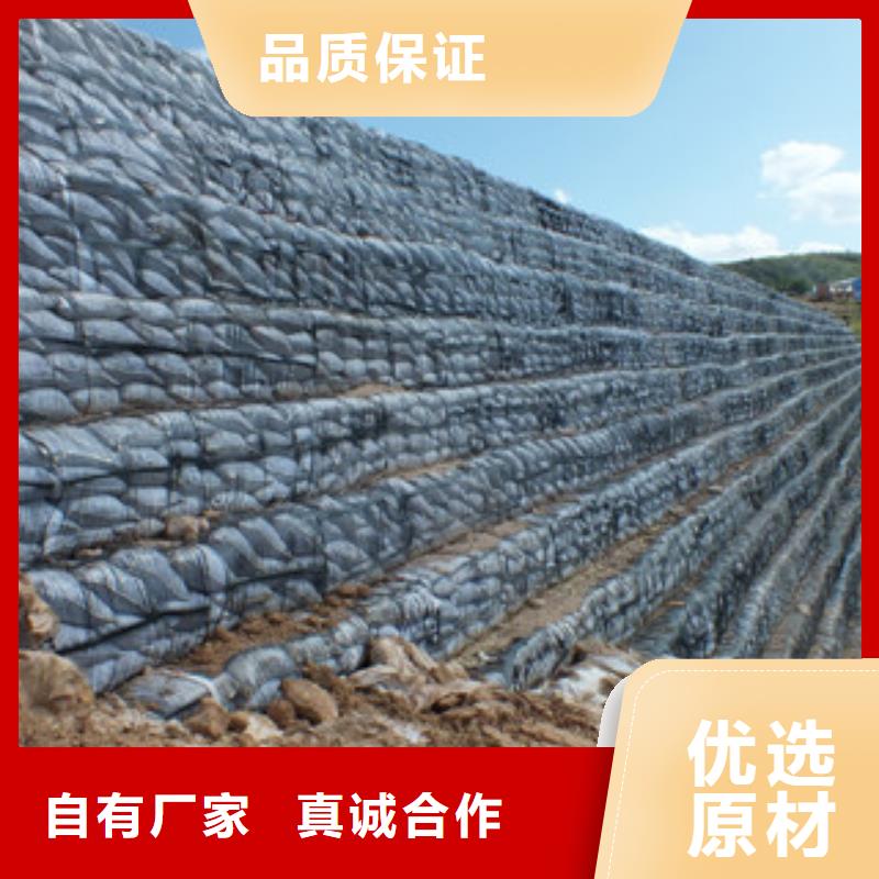 单向塑料格栅塑料土工格栅匠心品质