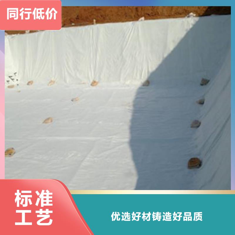 土工布玻纤土工格栅品质之选