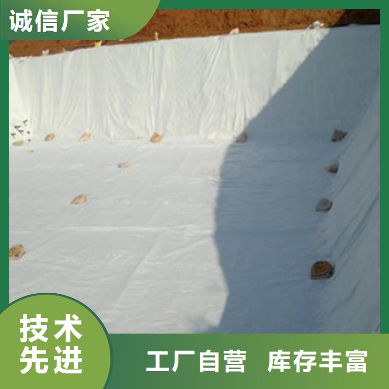 土工布膨润土防水毯技术先进