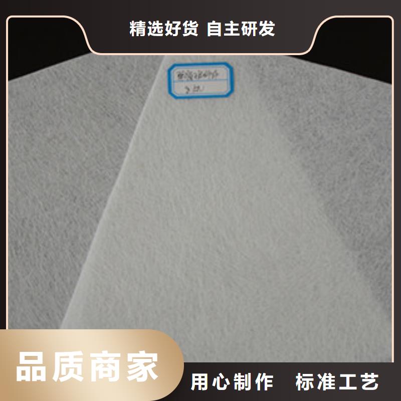 土工布塑料土工格栅服务始终如一