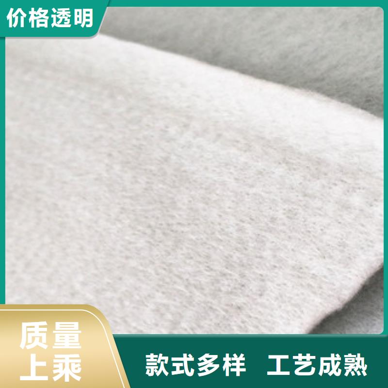 土工布玻纤土工格栅品质之选