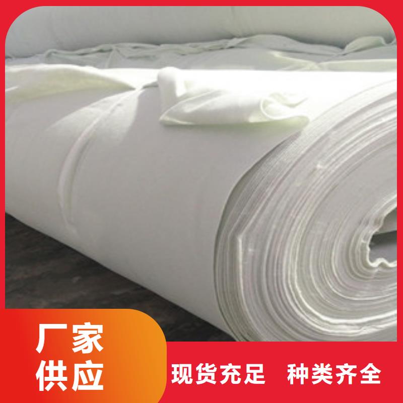 土工布玻纤土工格栅品质之选