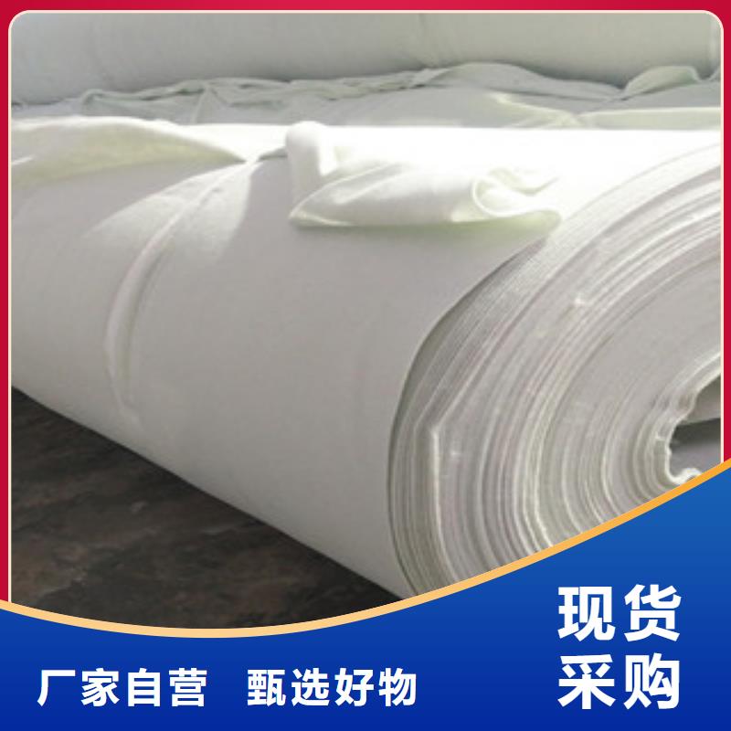 土工布膨润土防水毯技术先进