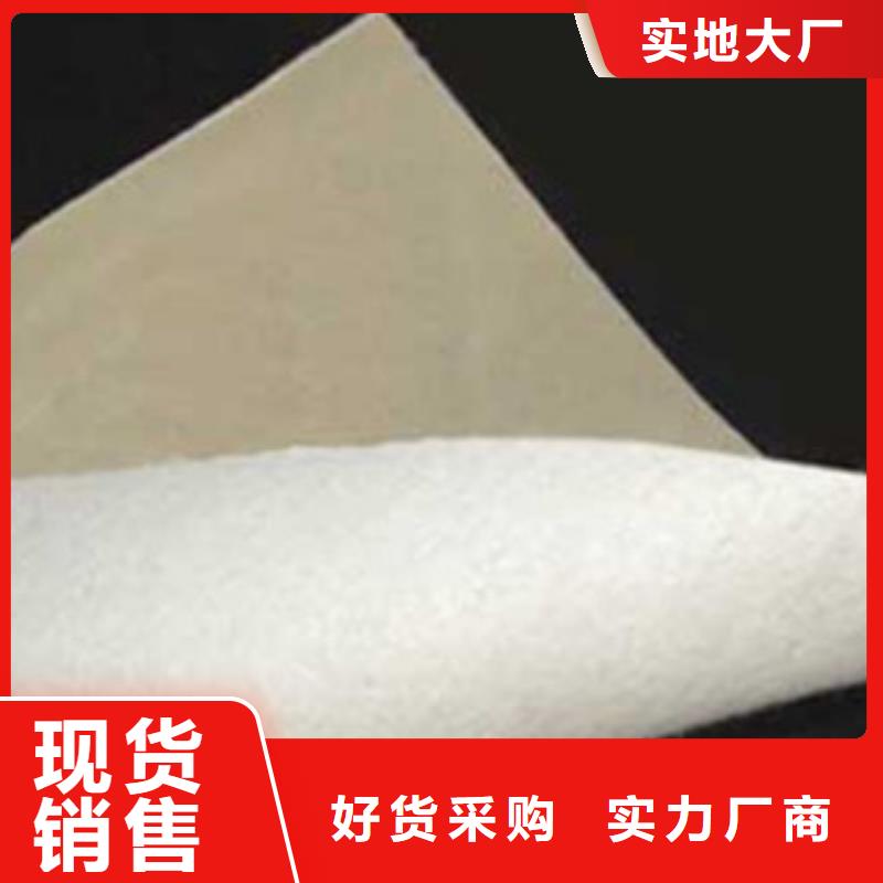 土工布塑料土工格栅服务始终如一