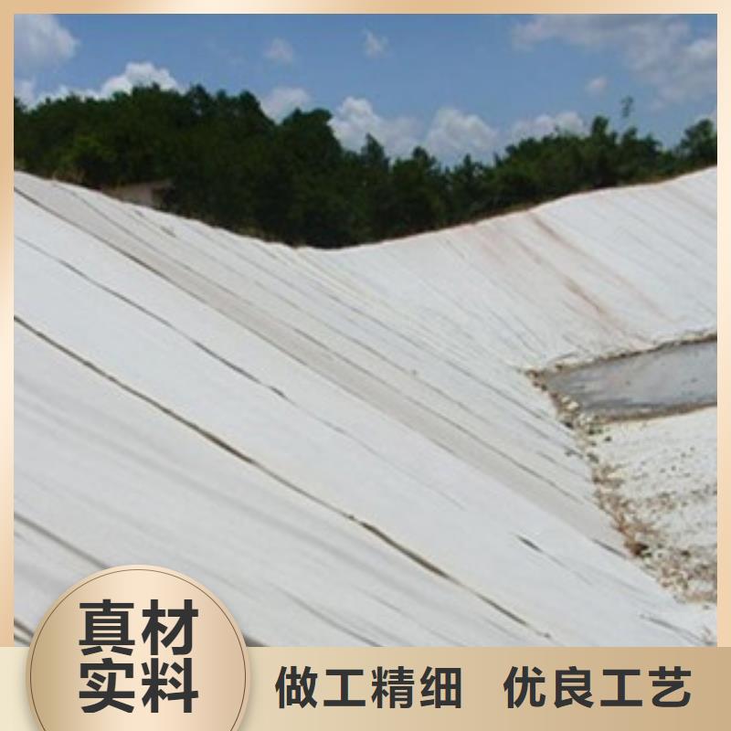 土工布塑料土工格栅服务始终如一