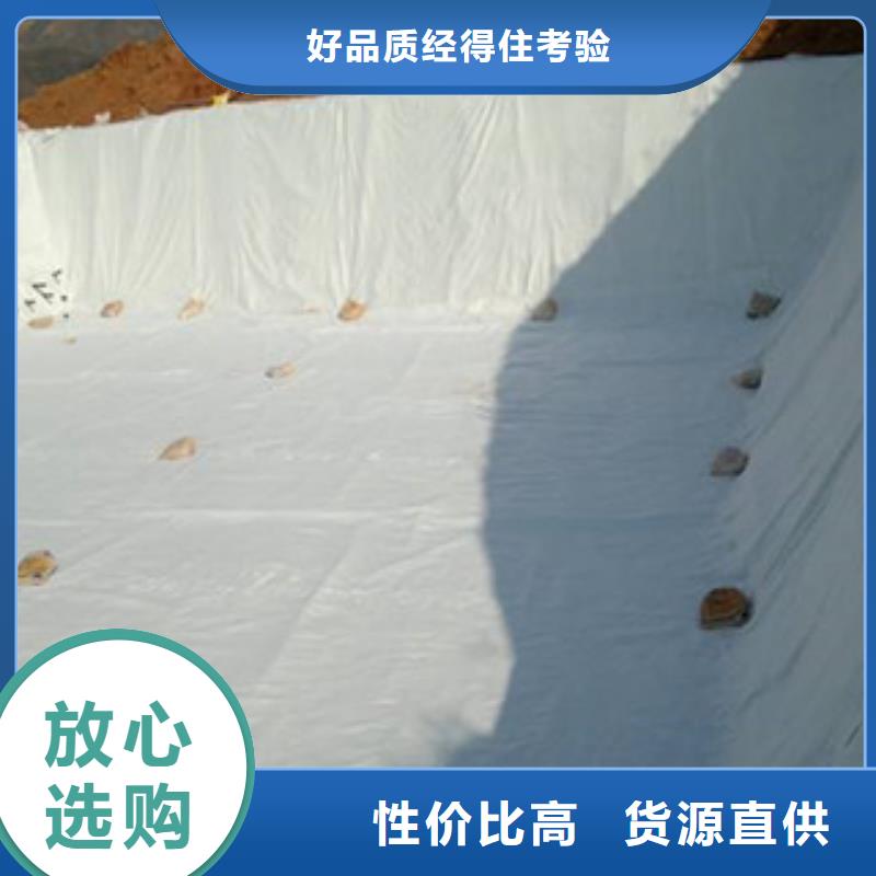 土工布塑料土工格栅服务始终如一