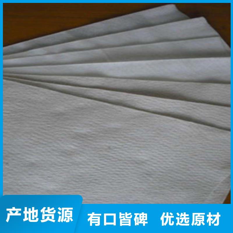土工布膨润土防水毯技术先进