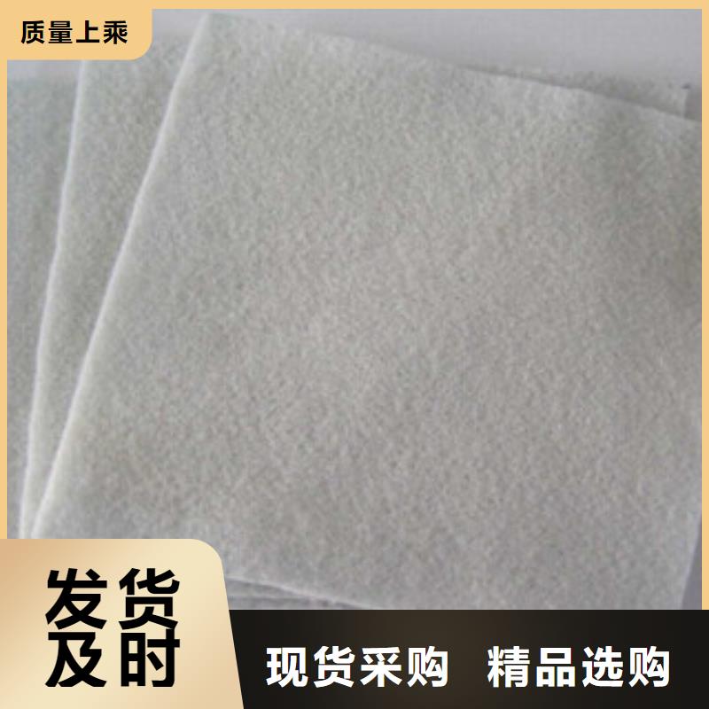 土工布塑料土工格栅服务始终如一