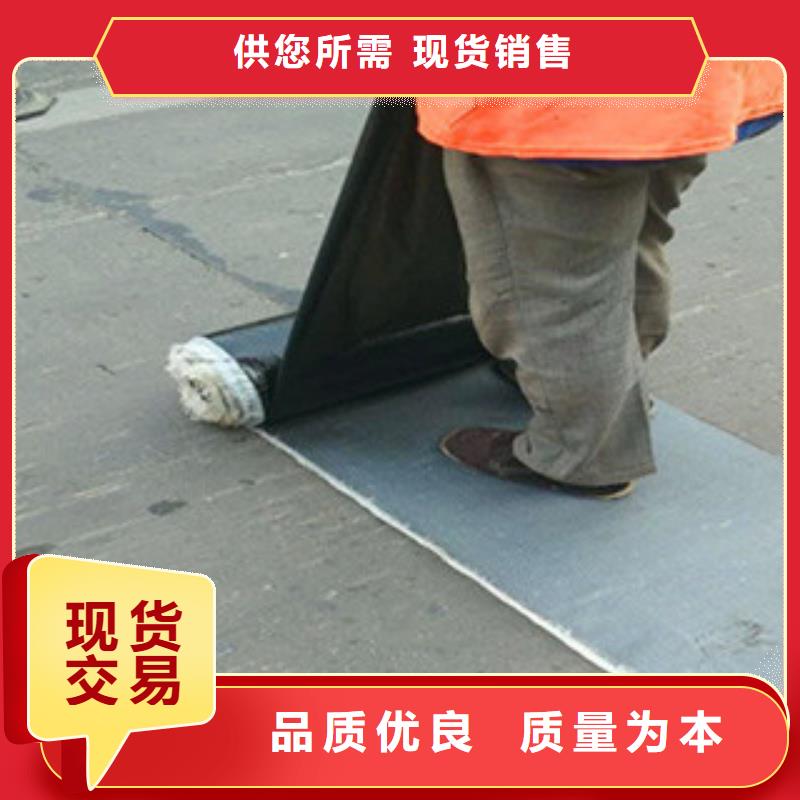 防裂贴三维植被网快速发货
