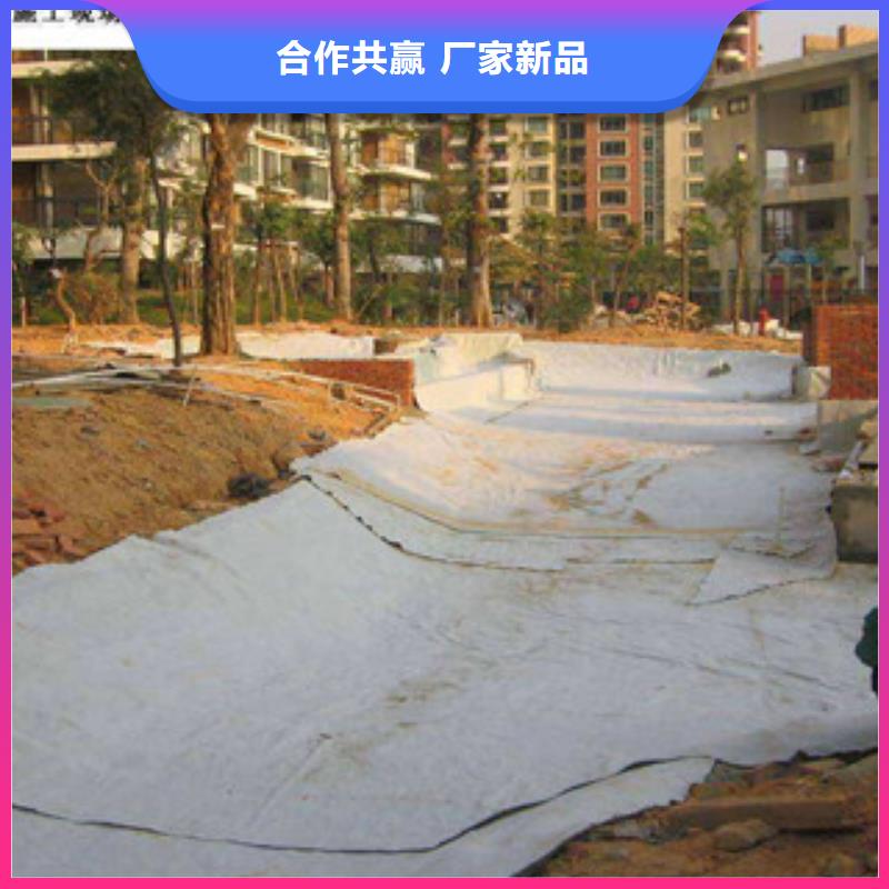 膨润土防水毯_防裂贴抗裂贴品质之选