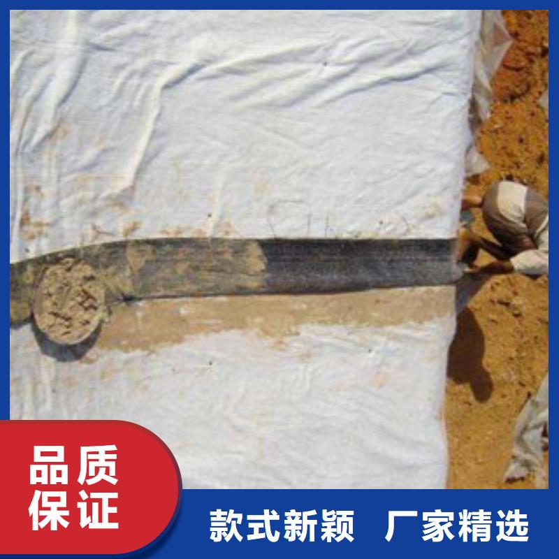 【膨润土防水毯】三维植被网优选原材