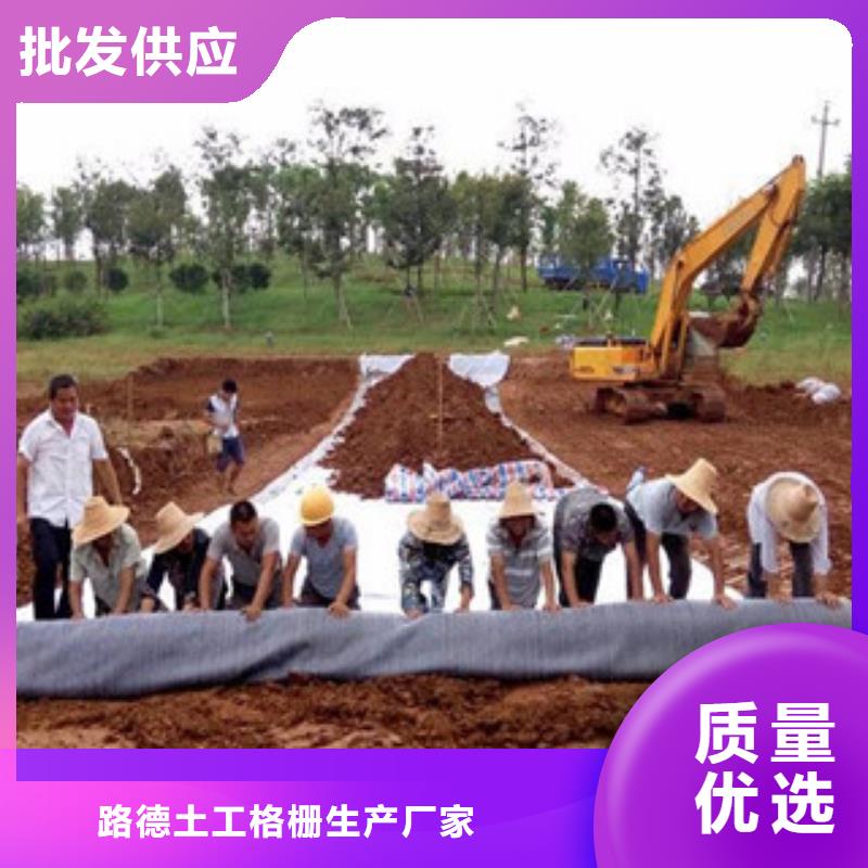 膨润土防水毯_塑料土工格栅诚信商家服务热情