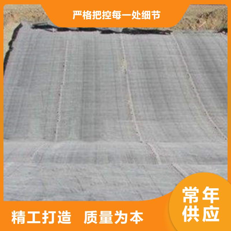 【膨润土防水毯】三维植被网优选原材