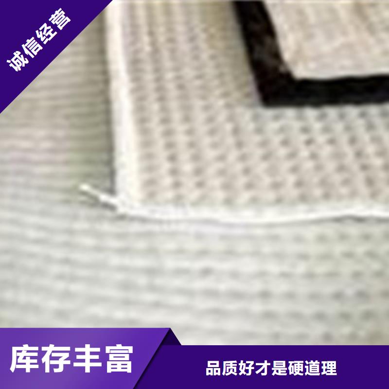 【膨润土防水毯】三维植被网优选原材