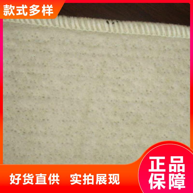 【膨润土防水毯】三维植被网优选原材