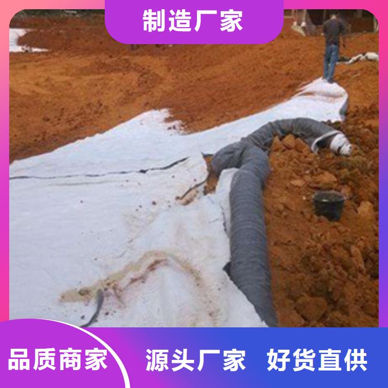 【膨润土防水毯】三维植被网优选原材