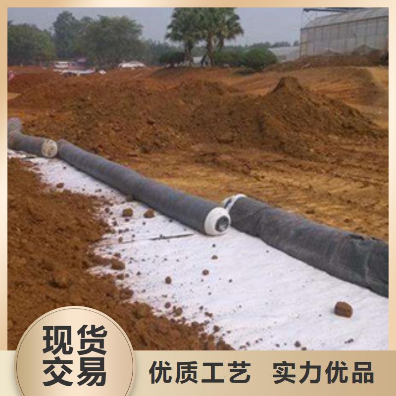 膨润土防水毯_塑料土工格栅诚信商家服务热情