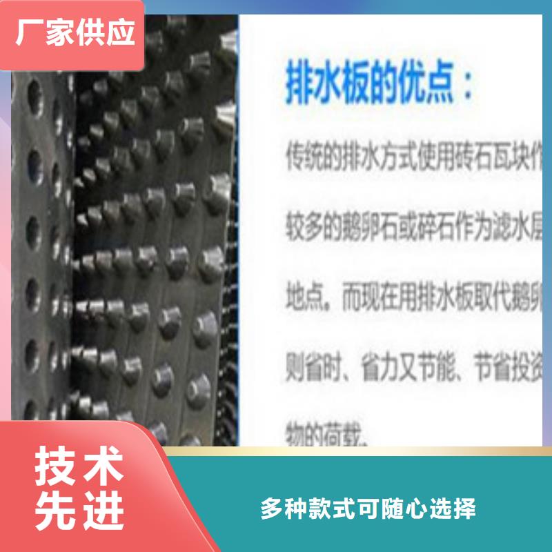 塑料排水板三维植被网工期短发货快