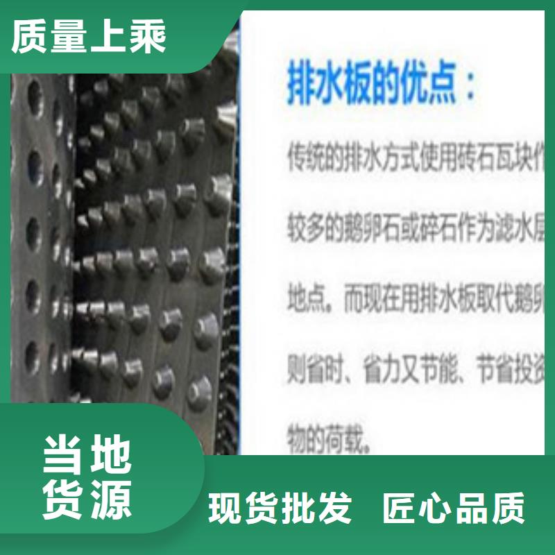 塑料排水板【塑料土工格栅】让利客户