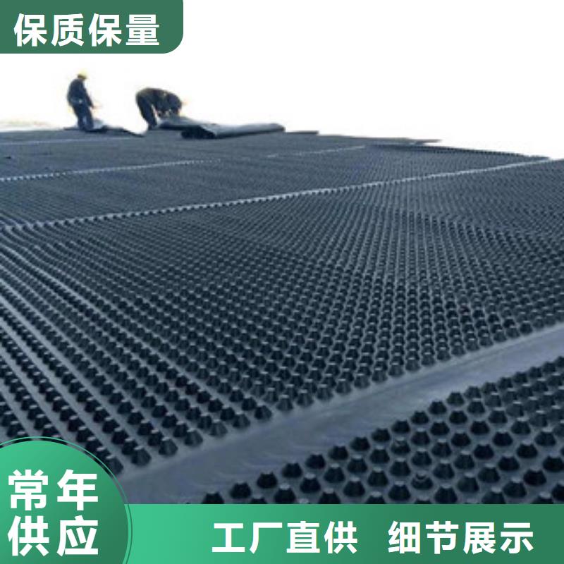 塑料排水板三维植被网工期短发货快