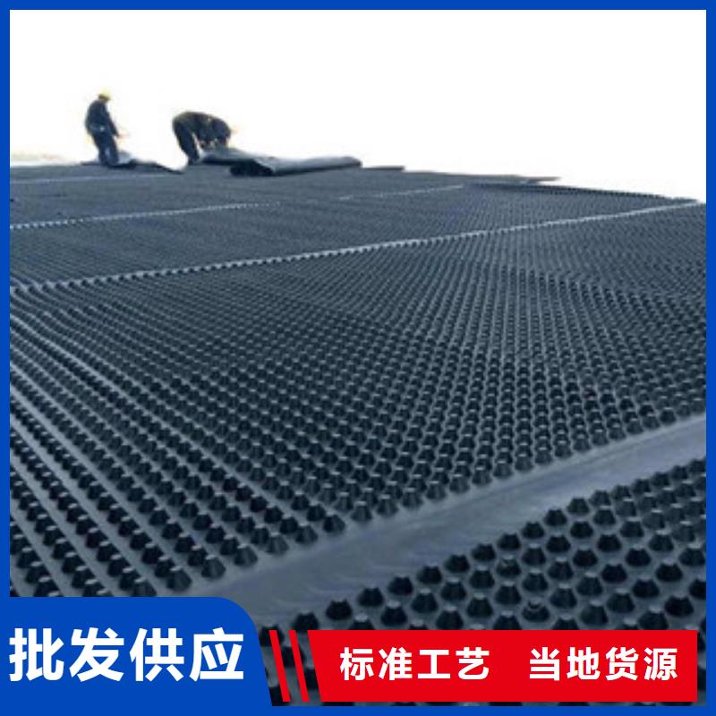 塑料排水板三维植被网一站式供应厂家