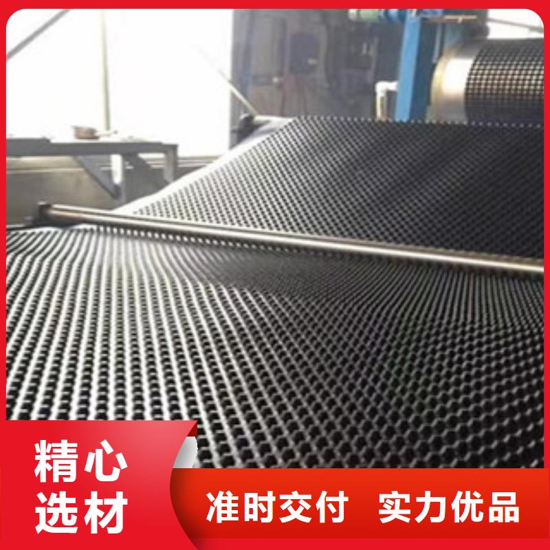 塑料排水板【塑料土工格栅】让利客户
