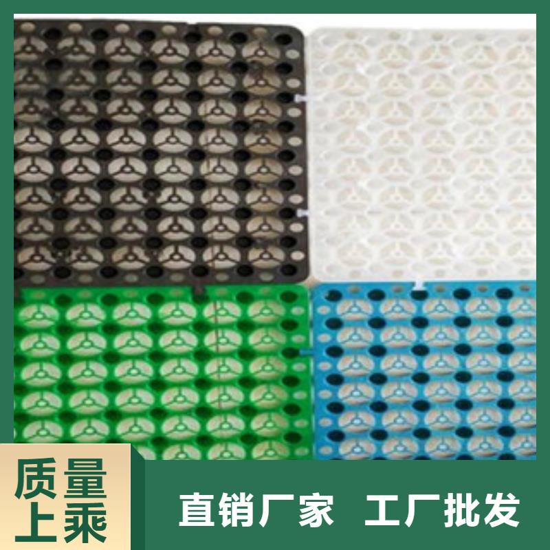【塑料排水板】防裂贴抗裂贴精品优选