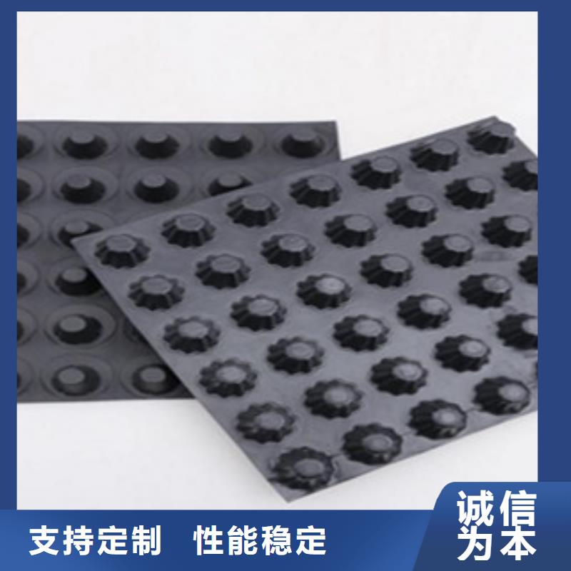 塑料排水板【塑料土工格栅】让利客户