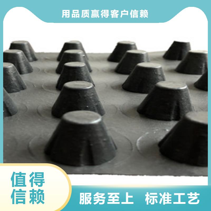 塑料排水板三维植被网工期短发货快
