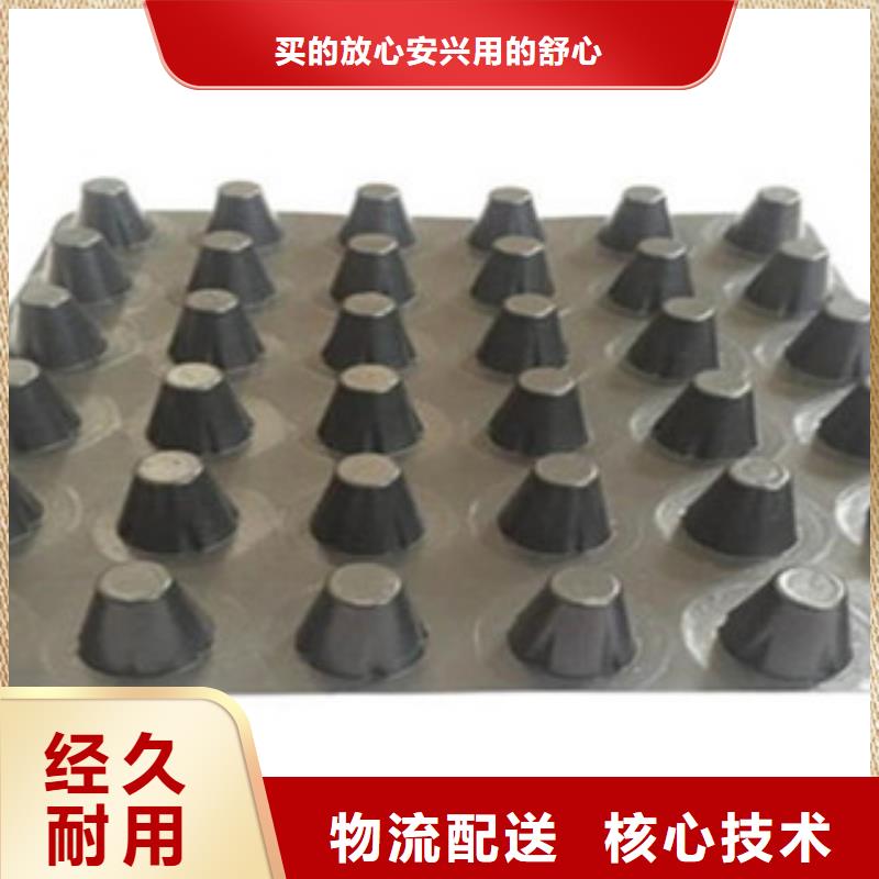 塑料排水板_玻纤土工格栅品质做服务