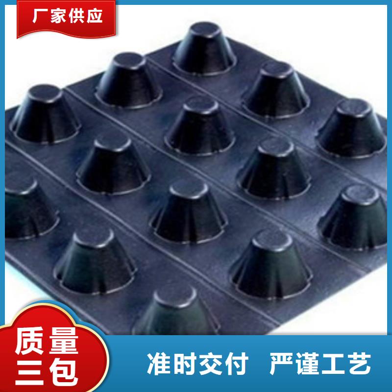 塑料排水板三维植被网一站式供应厂家