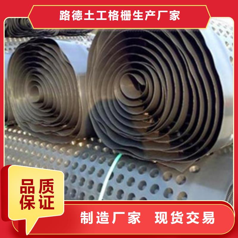 塑料排水板三维植被网一站式供应厂家