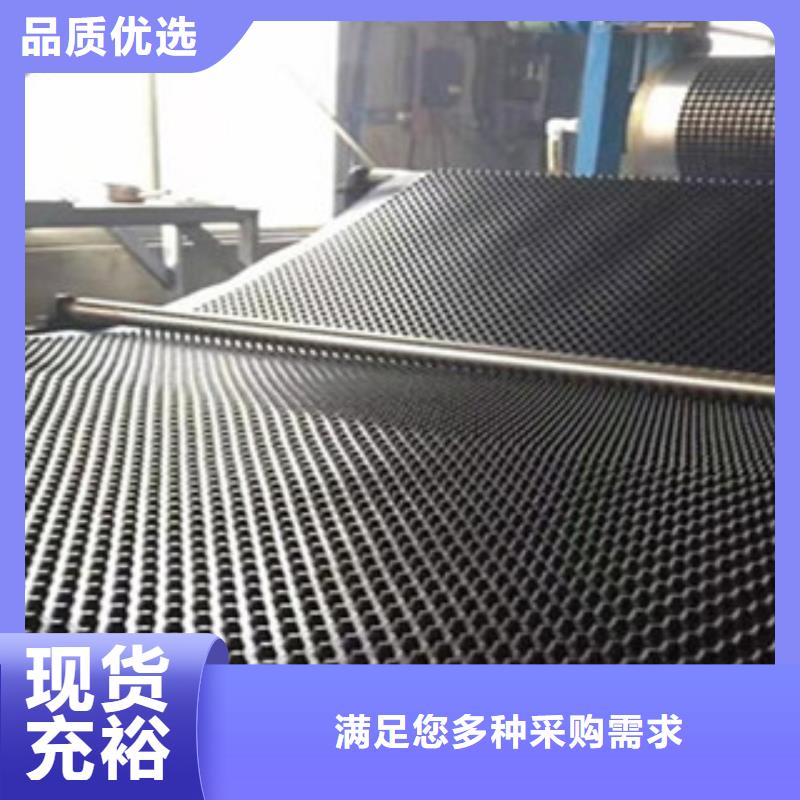 塑料排水板三维植被网一站式供应厂家