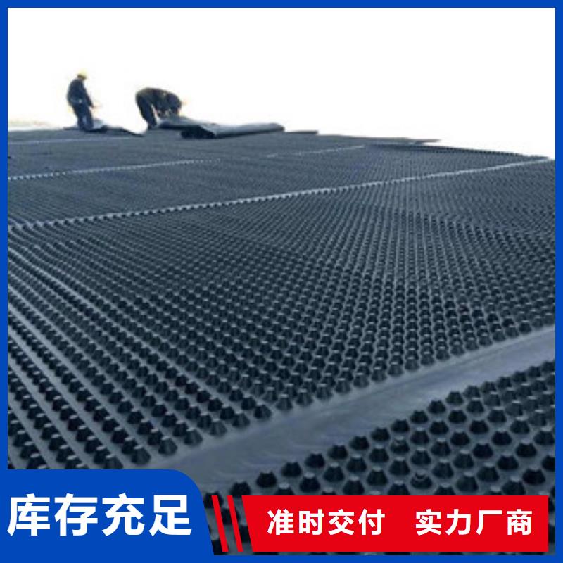 塑料排水板三维植被网一站式供应厂家