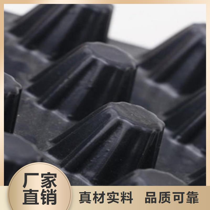 塑料排水板三维植被网一站式供应厂家