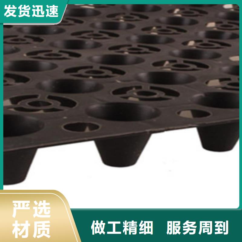 塑料排水板三维植被网工期短发货快