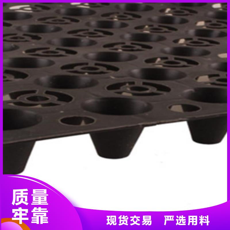 塑料排水板三维植被网一站式供应厂家