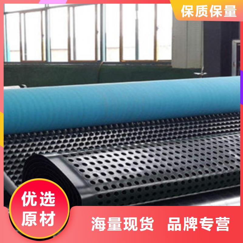 塑料排水板三维植被网工期短发货快